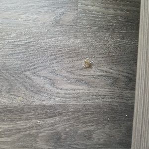 Meet your Posher, Kenneth